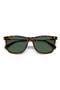 selected Havana/ Green Polarized