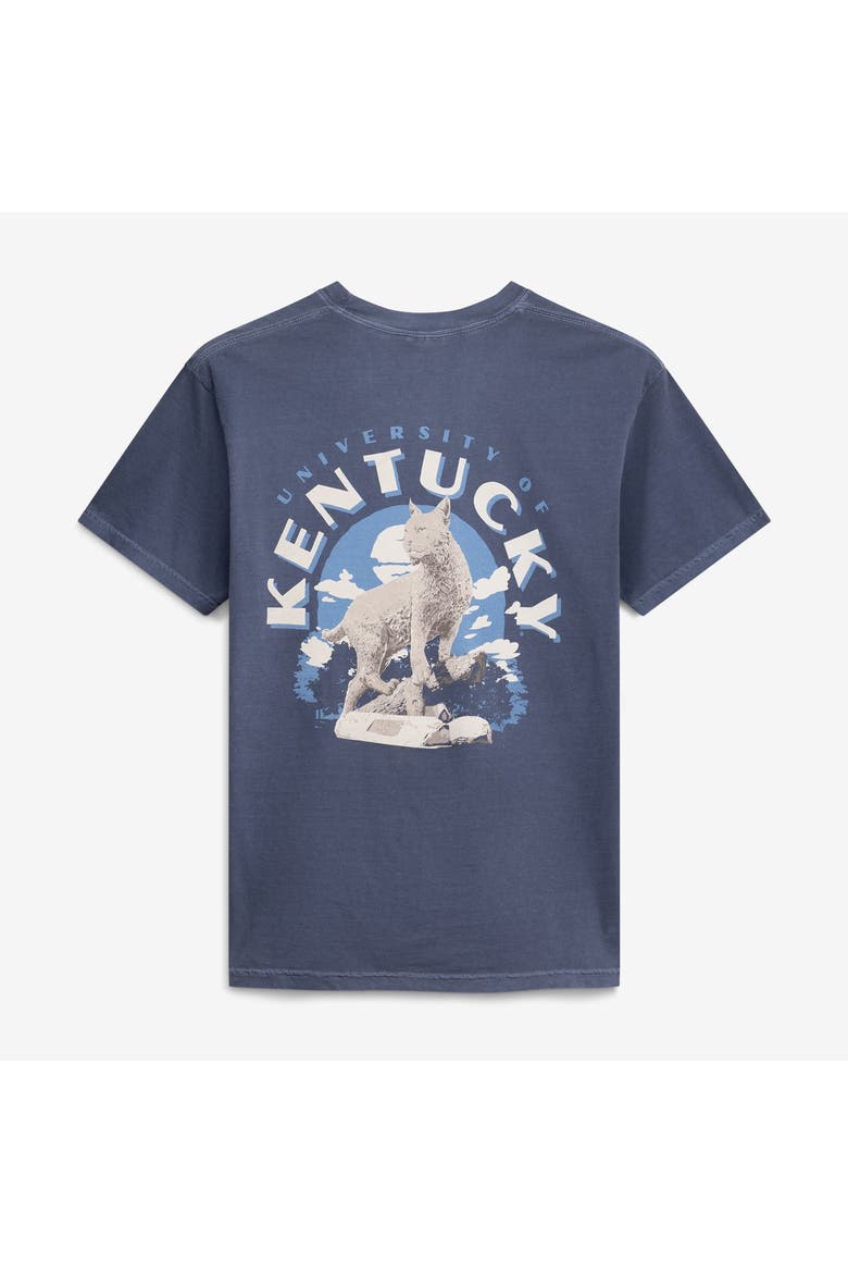 Men's  Navy Kentucky Wildcats Comfort Colors Team Statue T-Shirt, Alternate, color, Navy