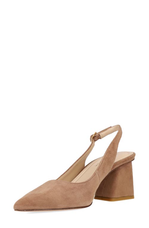Pelle Moda Florin Slingback Pointed Toe Pump In Brown