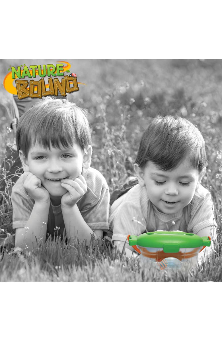 Nature Bound Critter Box, Frog Lid Insect Catcher with Magnified Windows Kids 3+, Alternate, color, Multicolored