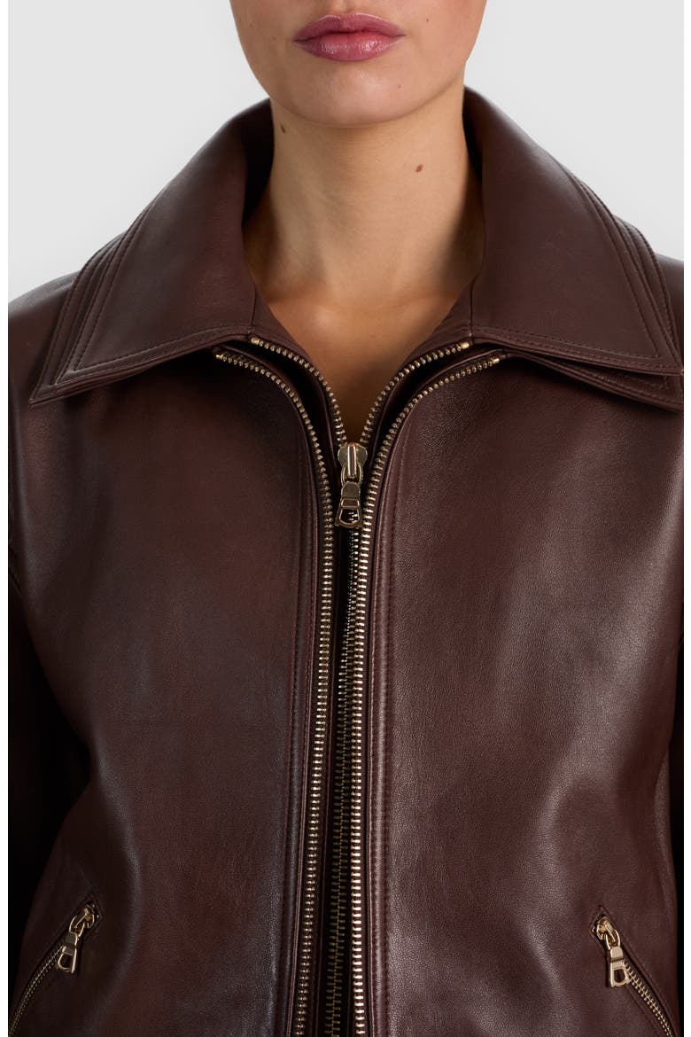 Collins Relaxed Leather Bomber Jacket, Alternate, color, DARK CHOCOLATE