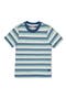  Tidal Stripe