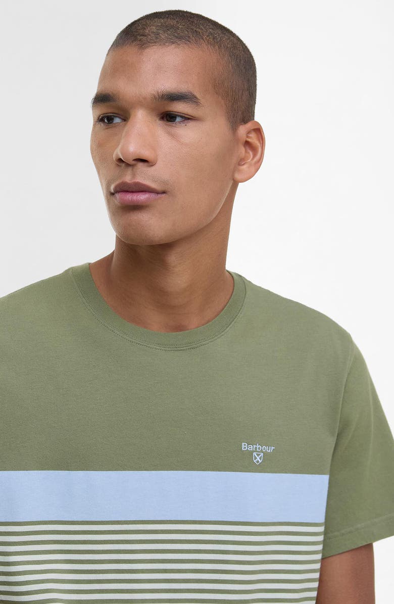 Barbour Braeside Stripe Cotton T-Shirt, Alternate, color, Light Moss