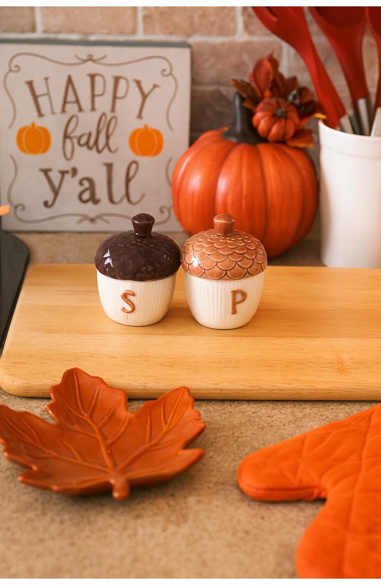 Transpac Multicolor Harvest Moody Acorn Salt and Pepper Shakers Set, Alternate, color, Brown