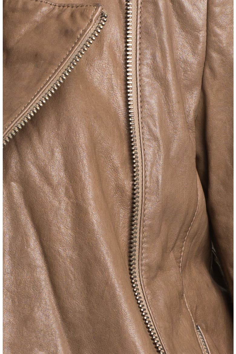 Leather Moto Jacket, Alternate, color, TAUPE