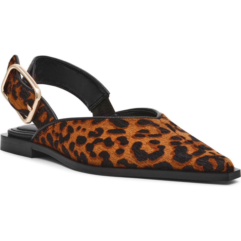 Steve Madden Shay Genuine Calf Hair Pointed Toe Slingback Flat In Leopard
