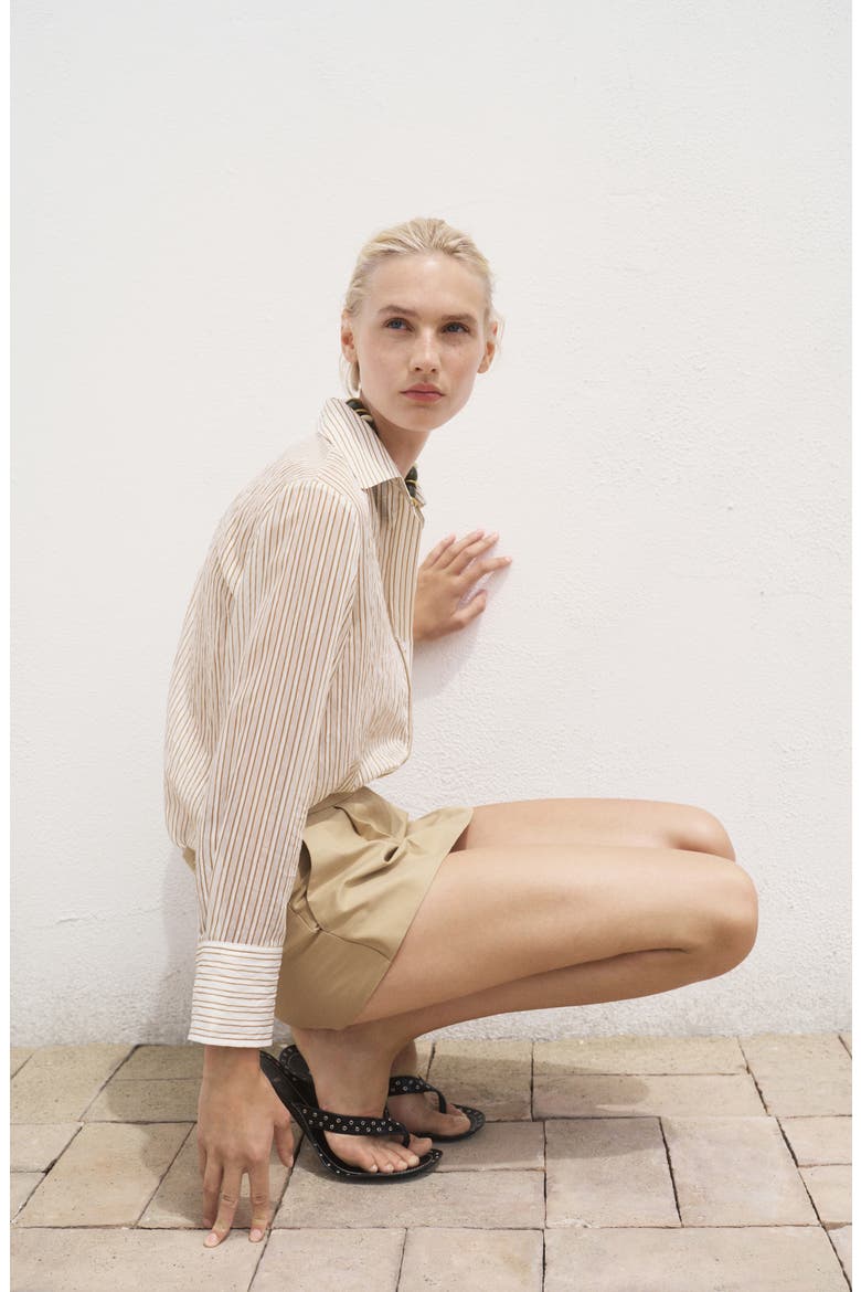 Stripe Sheer Long-Sleeve Button-Up Shirt, Alternate, color, BROWN