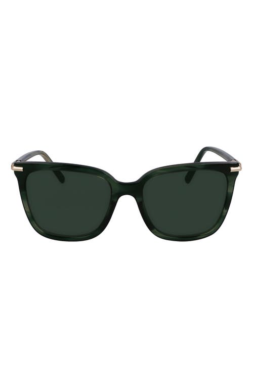 Ferragamo Prisma 56mm Modified Butterfly Sunglasses In Striped Green