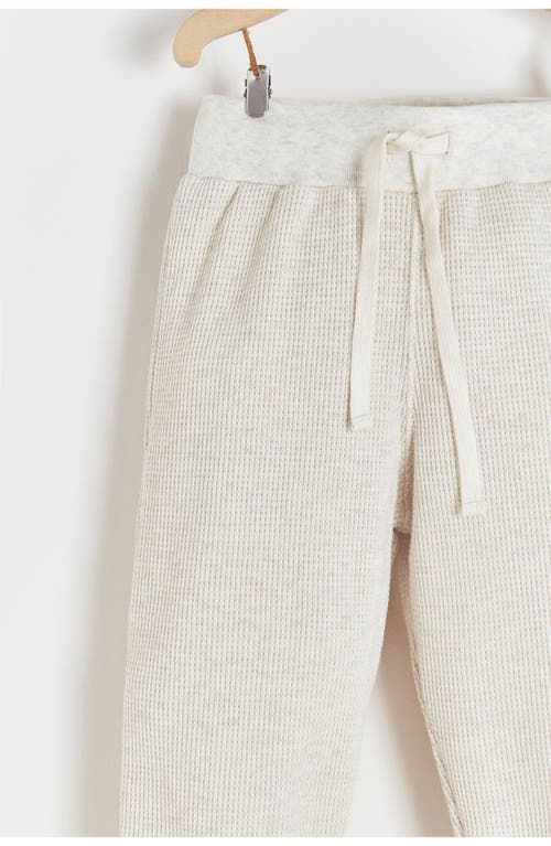 Babycottons Pima Cotton Waffle Knit Pants Samoa In Neutral