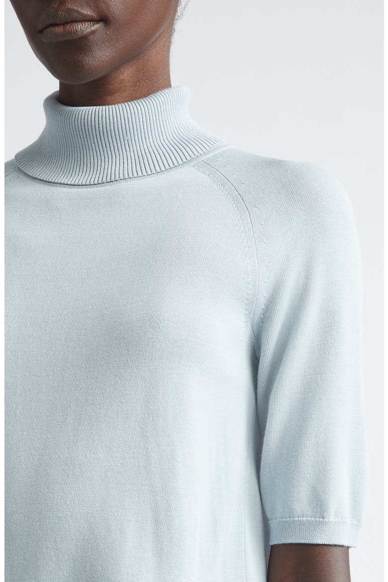 Raglan Sleeve Turtleneck Sweater, Alternate, color, VENETIAN SKY