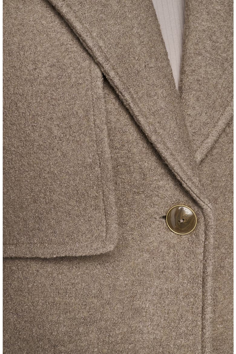 Besette Boiled Wool Blend Coat, Alternate, color, BRINDLE