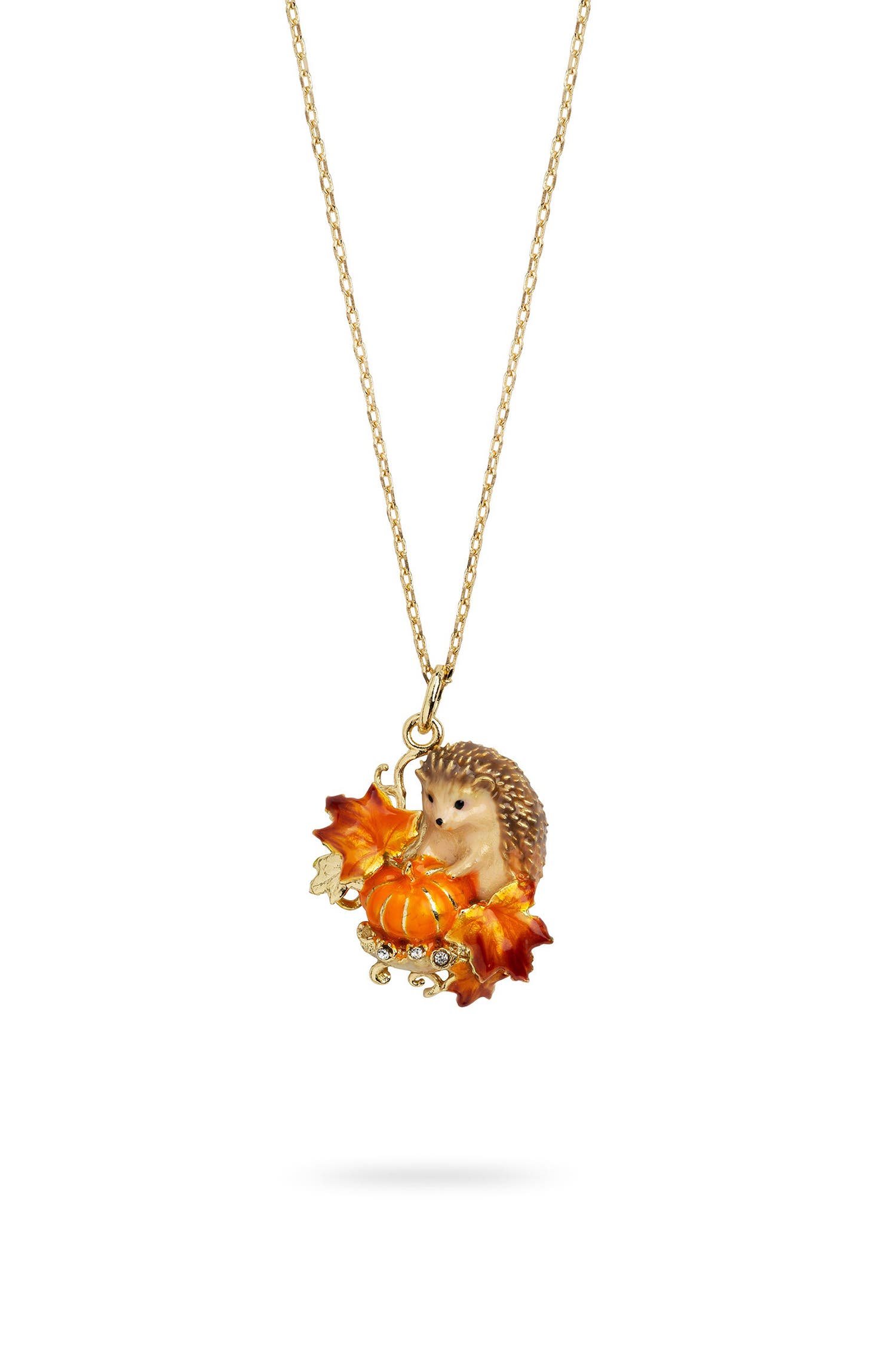 selected Hedgehog & Pumpkin
