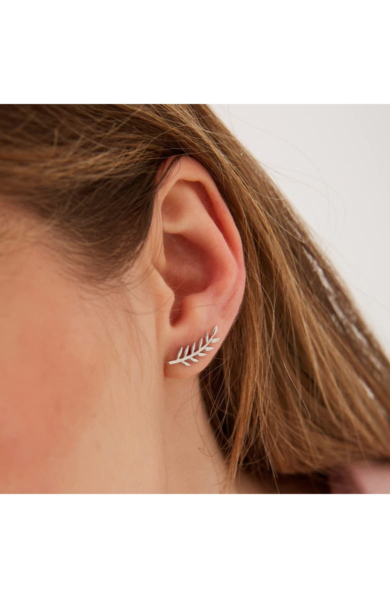 Spero London Wheat Earrings Ear Of Wheat Sterling Silver Stud Earring, Alternate, color, Silver