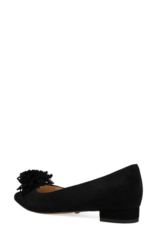 Pelle Moda Aaila Pointed Toe Flat