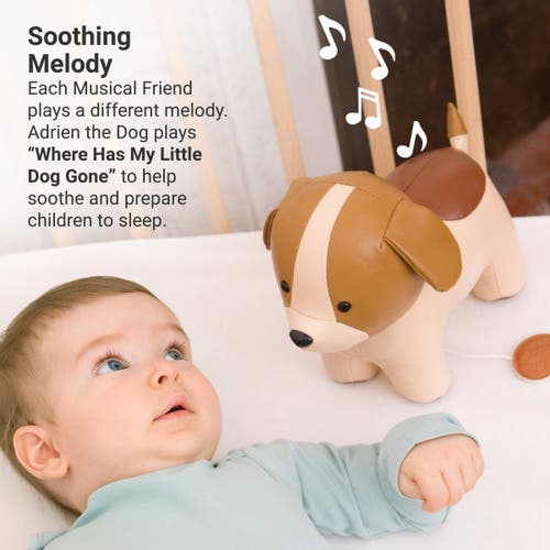 Little Big Friends Musical Animals In Multi