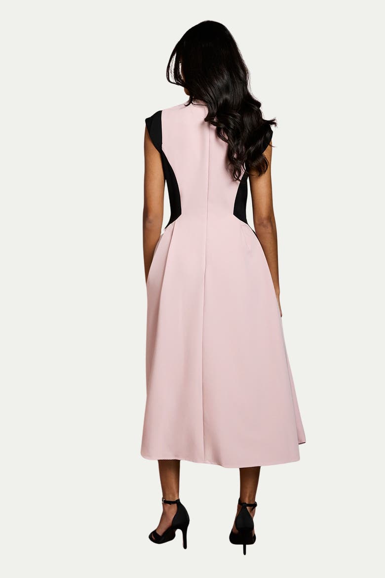 Petite Crepe Colour Block Midi Dress, Alternate, color, Blush