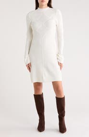 Ellen Tracy Mock Neck Long Sleeve Sweater Dress