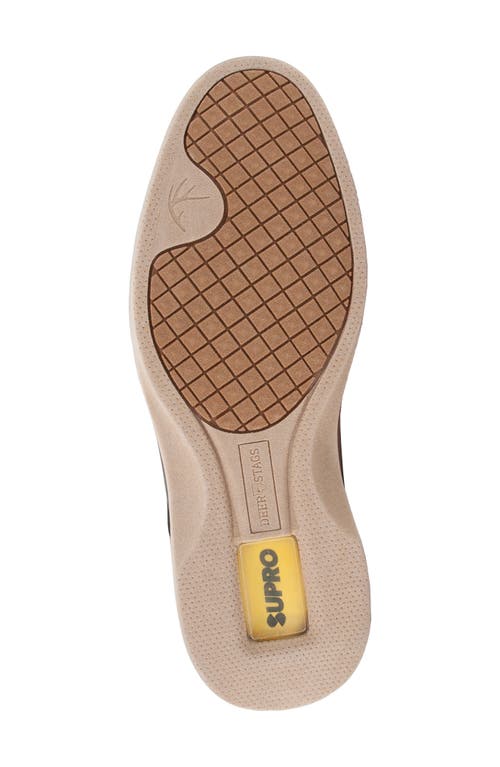 DEER STAGS DEER STAGS LISBON SUPRO DERBY