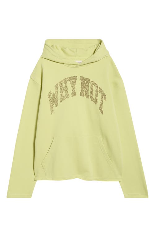 Honor The Gift Why Not Graphic Hoodie In Green