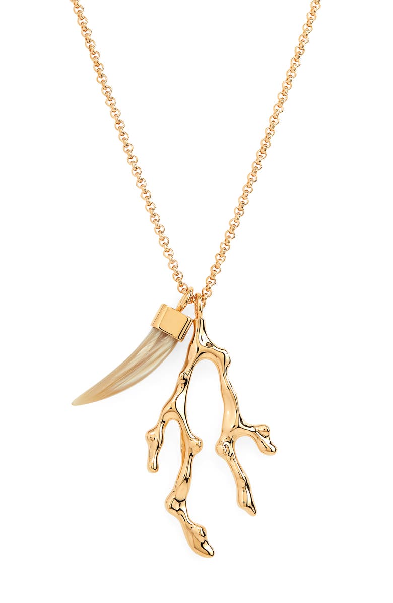 Chloé Horn Pendant Necklace, Alternate, color, 