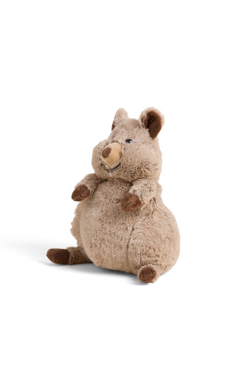 Quokka Plush Toy