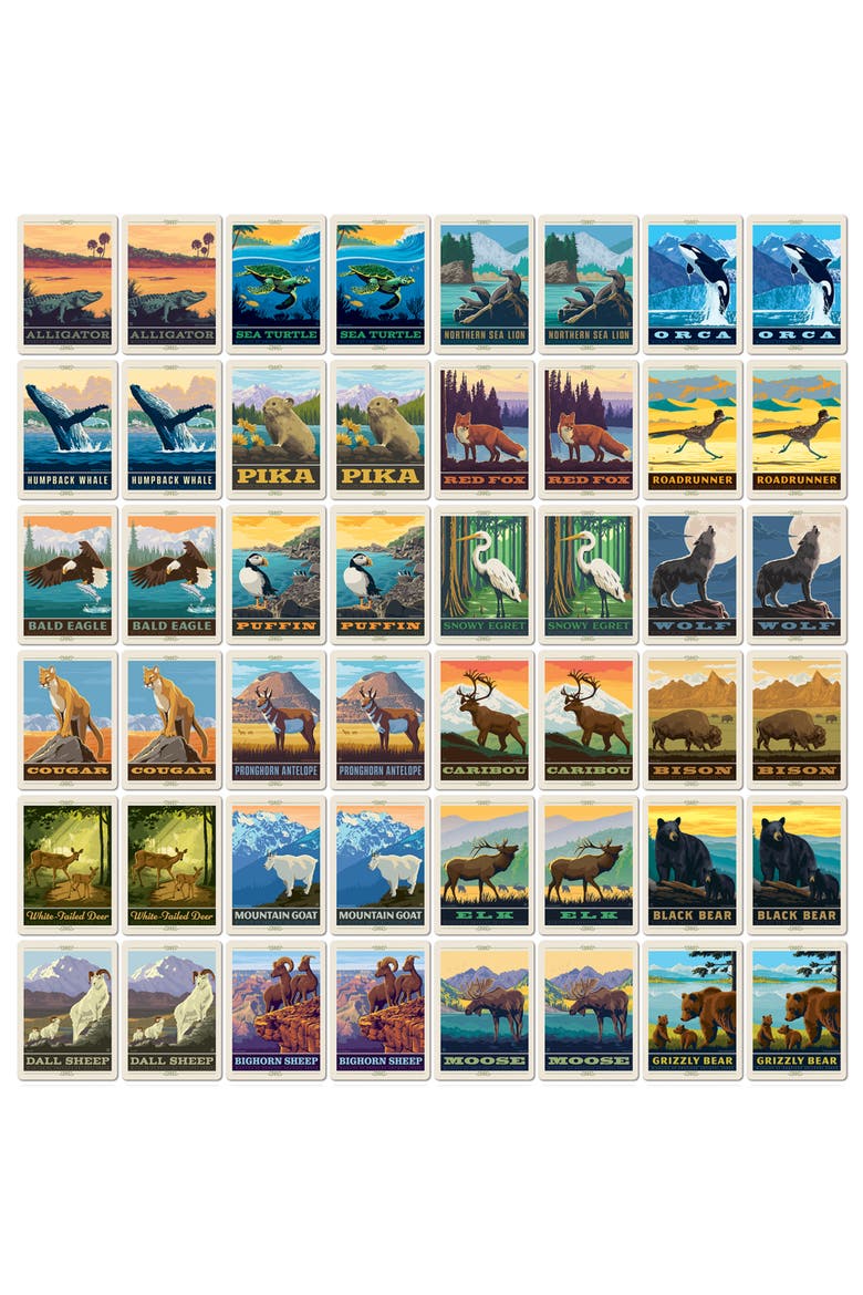 National Parks Wildlife Memory Game, Alternate, color, Multicolor
