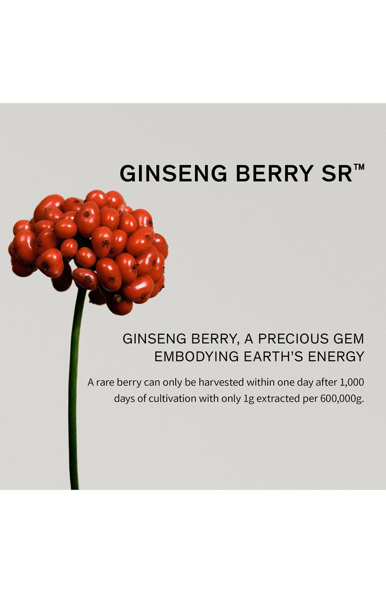 Sulwhasoo The Ultimate S Heritage Set (Limited Edition) $564 Value, Alternate, color, 