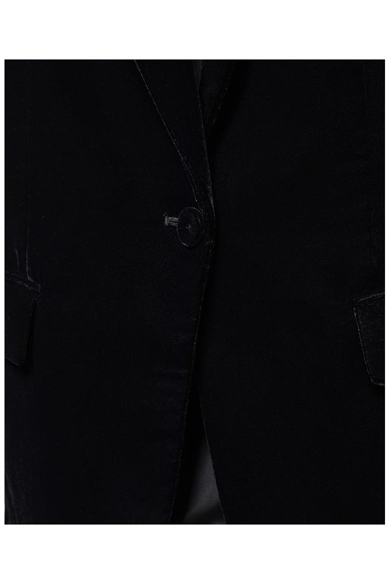 Velvet Blazer, Alternate, color, BLACK