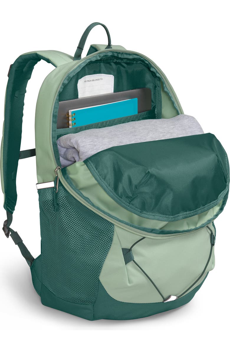 The North Face Kids' Youth Court Jester Packpack, Alternate, color,