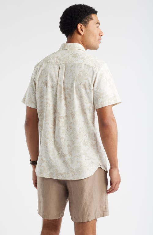 Nordstrom Floral Short Sleeve Stretch Cotton Blend Button-up Shirt In Neutral