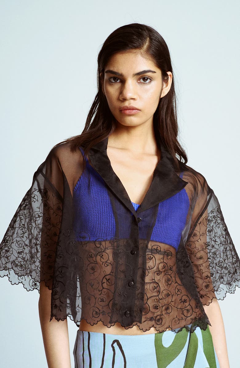 Topshop Embroidered Mesh Crop Top, Main, color, Black