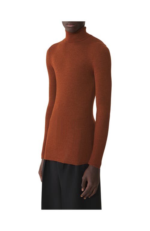Lanvin Turtleneck Sweater In Merino Wool And Silk In Brown