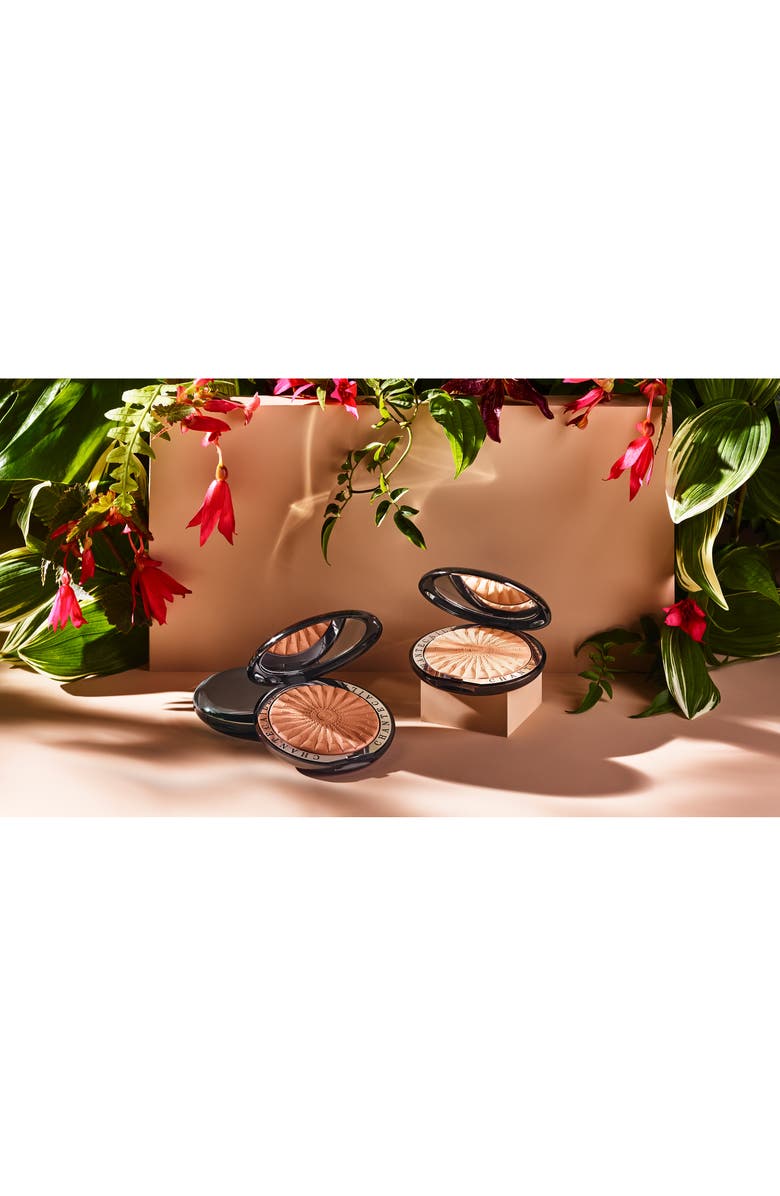 Chantecaille Blur Finishing Powder, Alternate, color, Medium/Deep