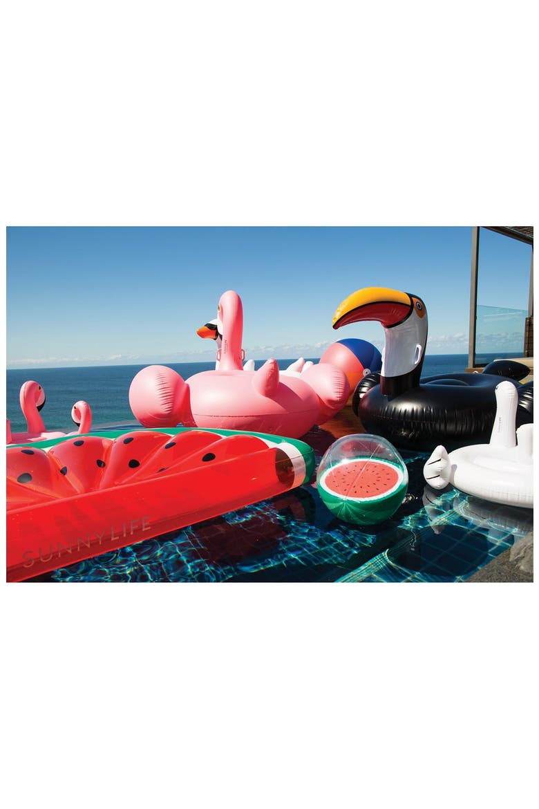 'Really Big' Inflatable Toucan Pool Floatie, Alternate, color, BLACK