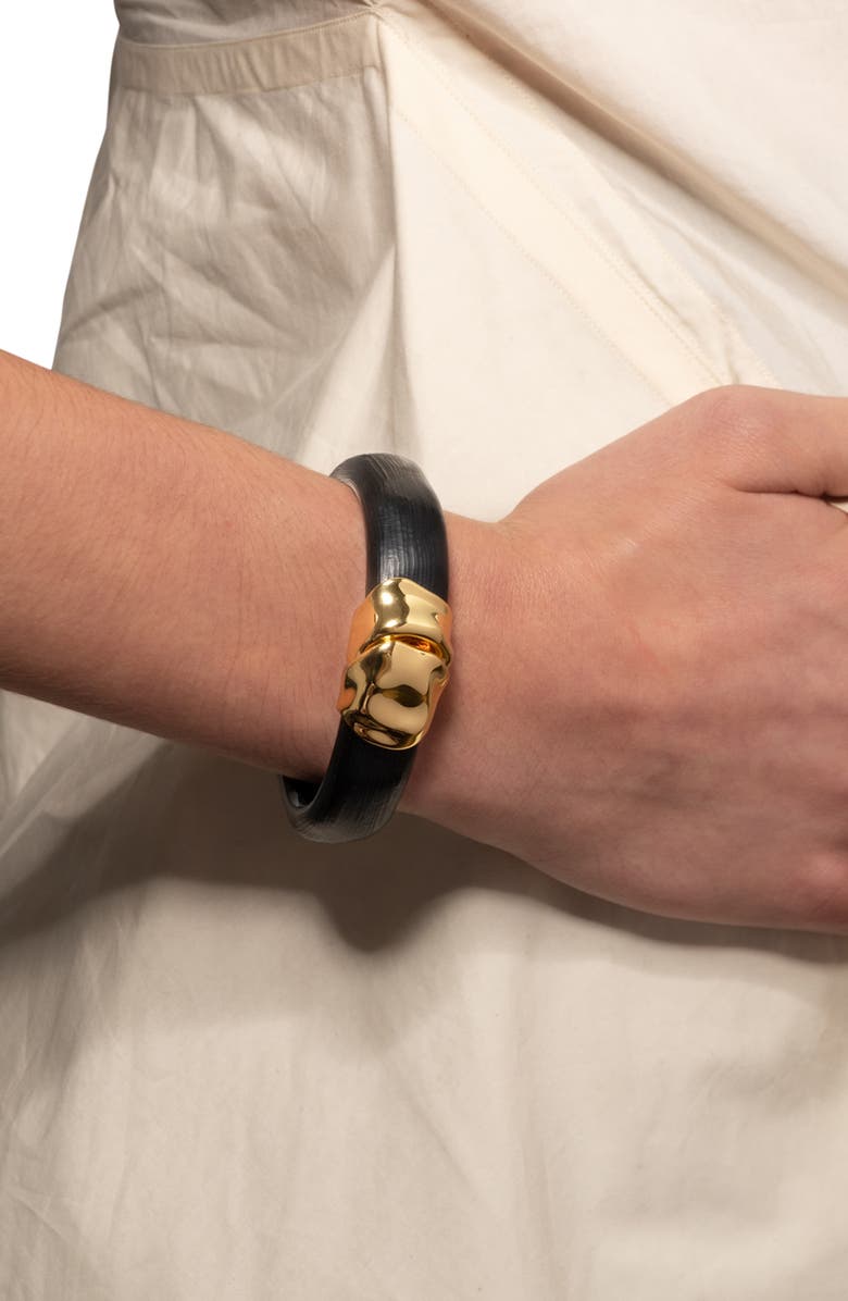 Alexis Bittar Essentials Molten Hinged Bangle, Alternate, color, 