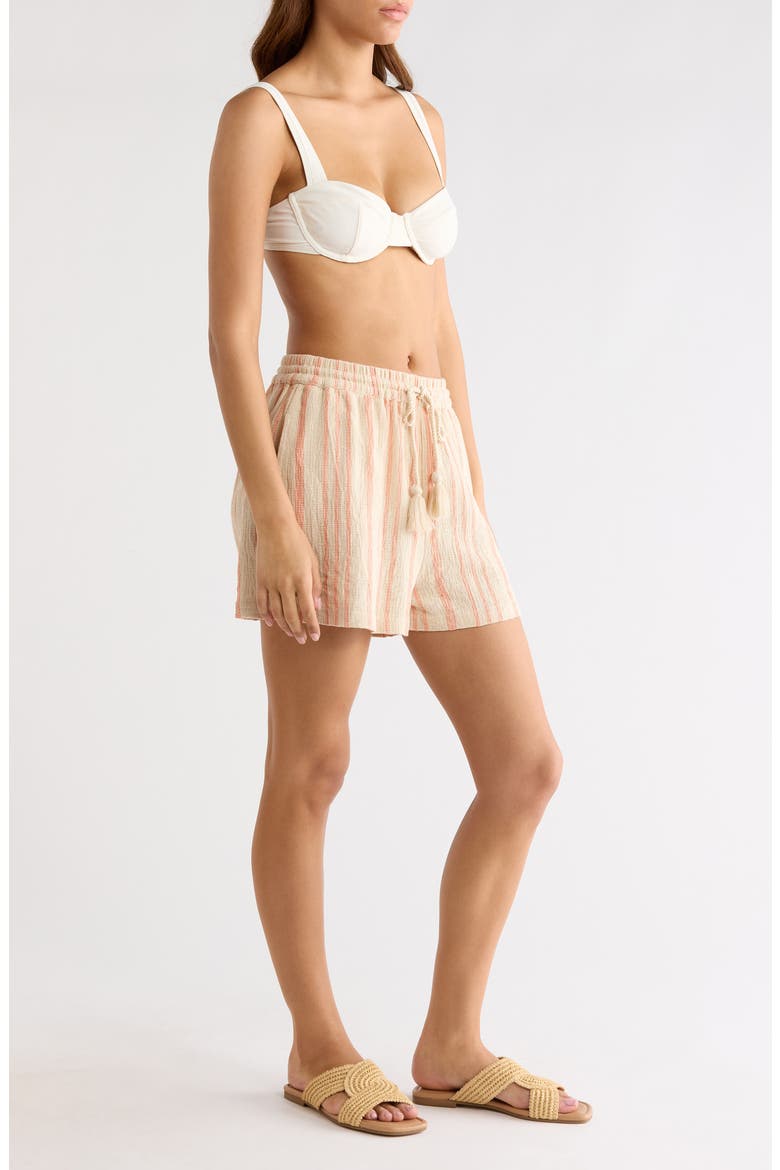 Stripe Cotton Drawstring Shorts, Alternate, color, BEIGE/ CAYENNE STRIPE