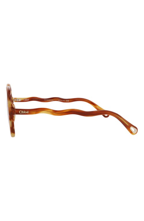 Chloé 54mm Core Square Sunglasses In Havana Havana Transparent