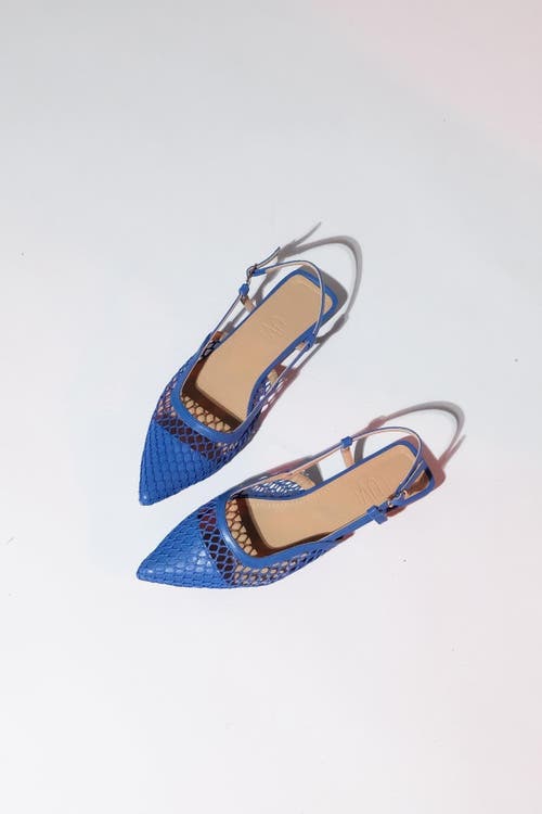 Prologue Shoes Brace Blue Mesh Flat Sandal