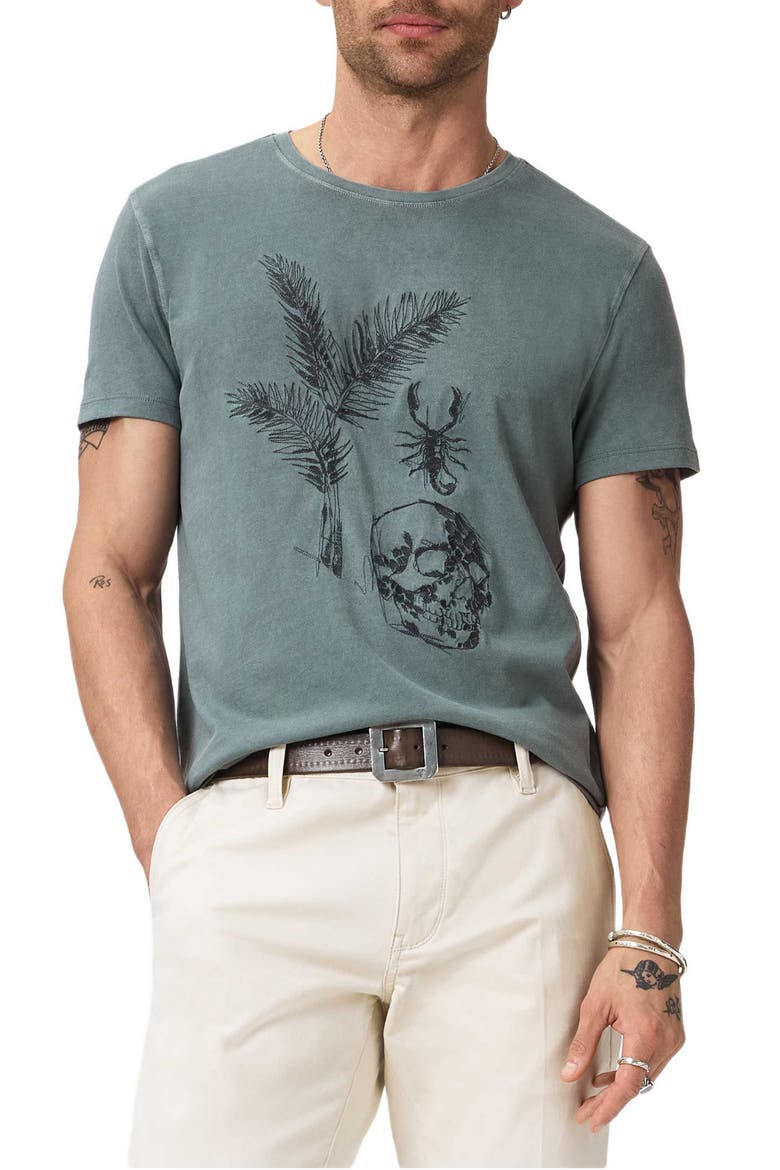 Skull & Scorpion Embroidered Organic Cotton T-Shirt, Main, color, FOG