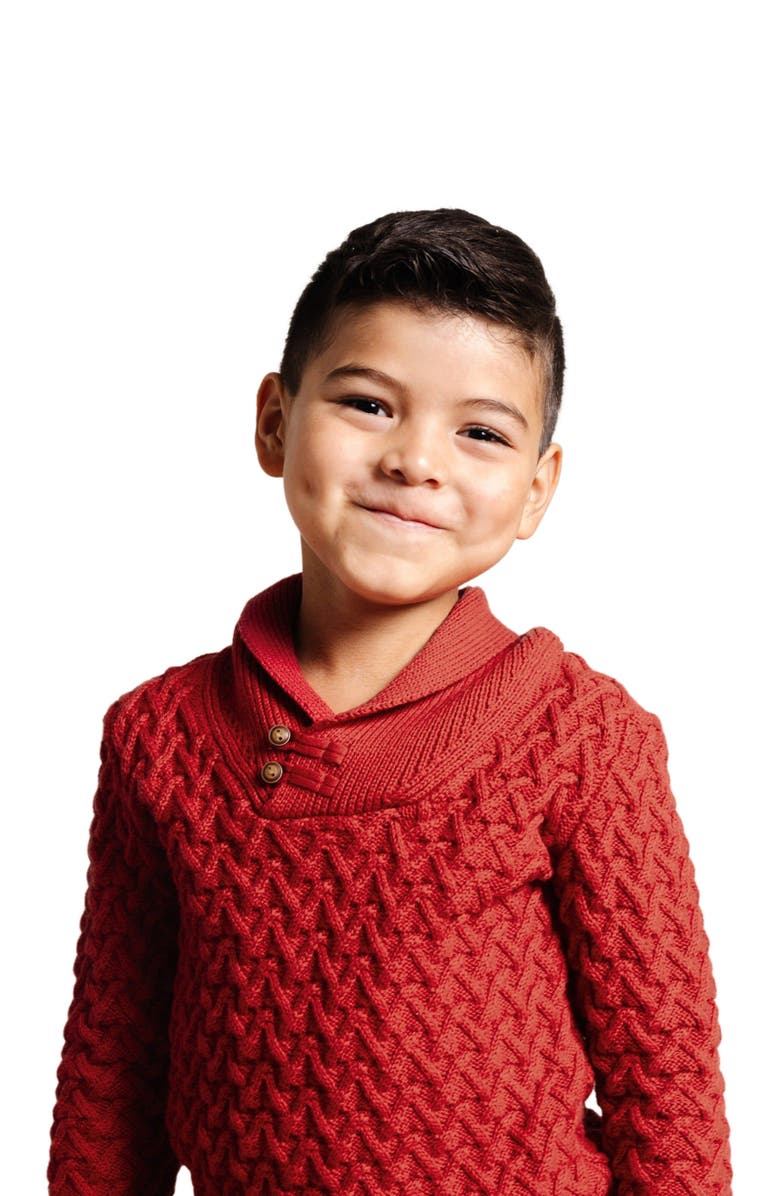 Hope & Henry Boys' Organic Shawl Collar Cable Sweater, Kids, Main, color, 