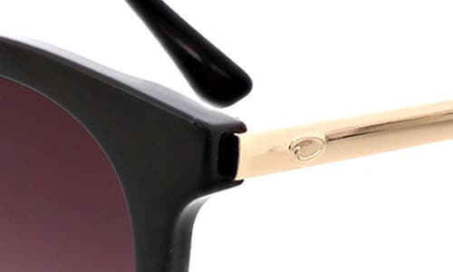 Oscar De La Renta 51mm Modern Round Sunglasses In Brown