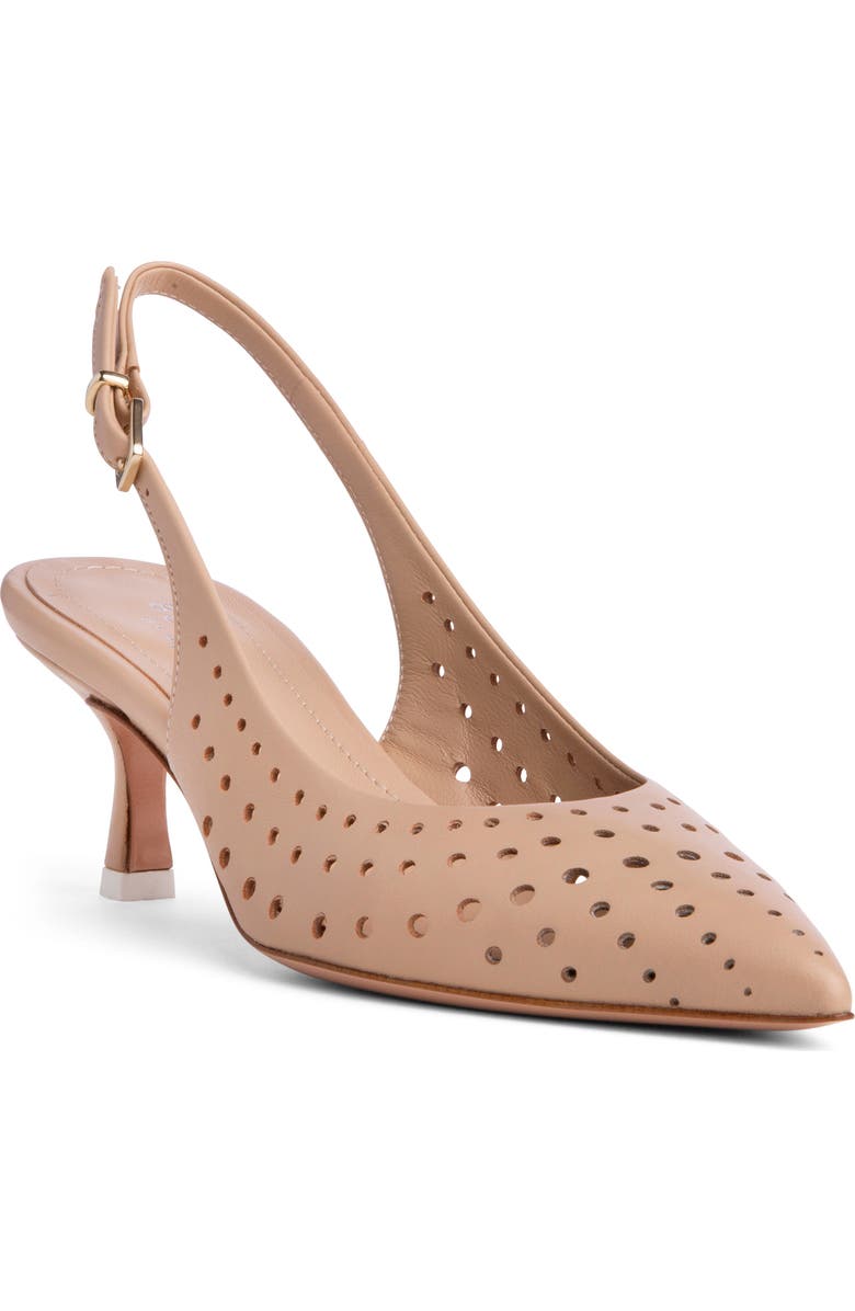 BEAUTIISOLES Flynn Slingback Pointed Toe Pump, Main, color, Brown