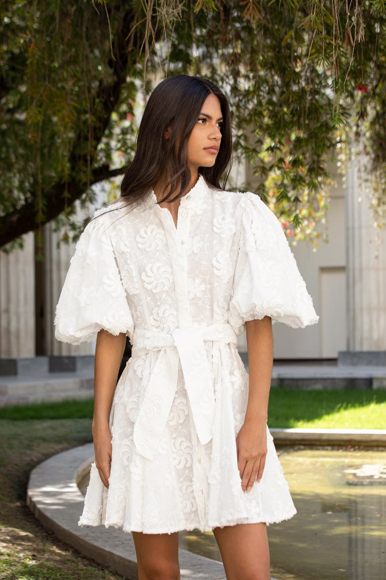 Bromelia Mini Dress, Alternate, color, EMBROIDERY GARDEN OFF WHITE