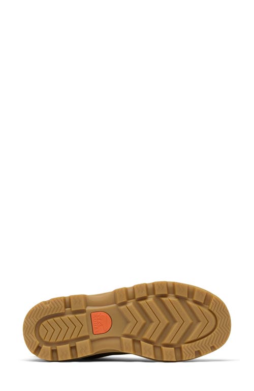 Sorel Scout N About™ Mid Sneaker In Utility Green/gum
