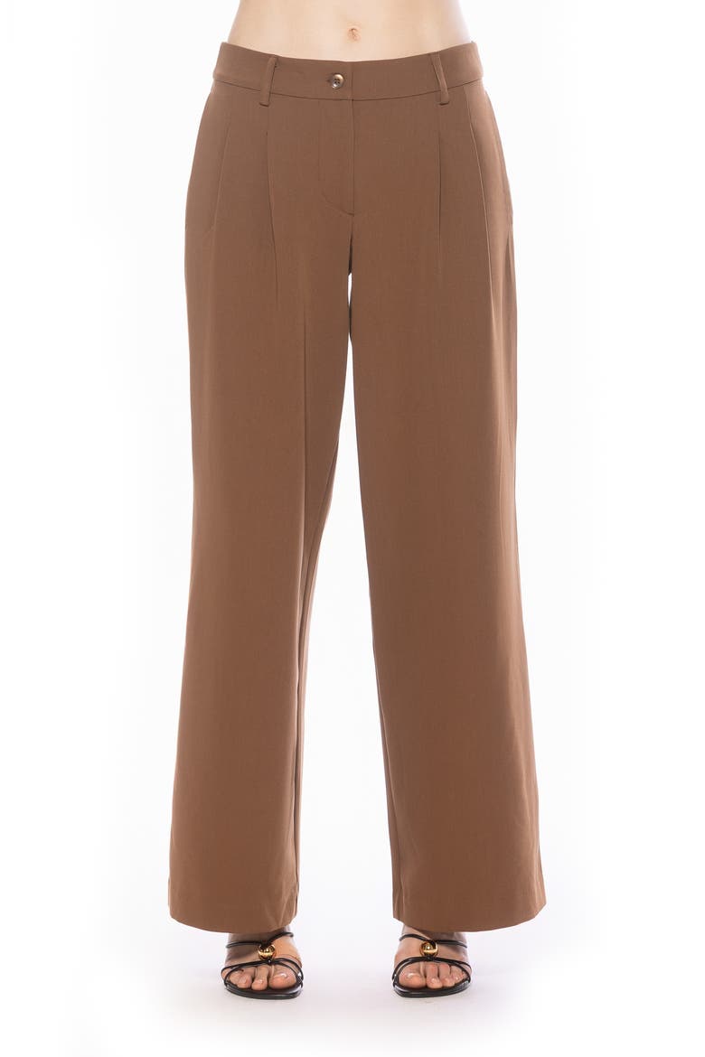 Quinn Pleated Wide Leg Pants, Main, color, CAMEL