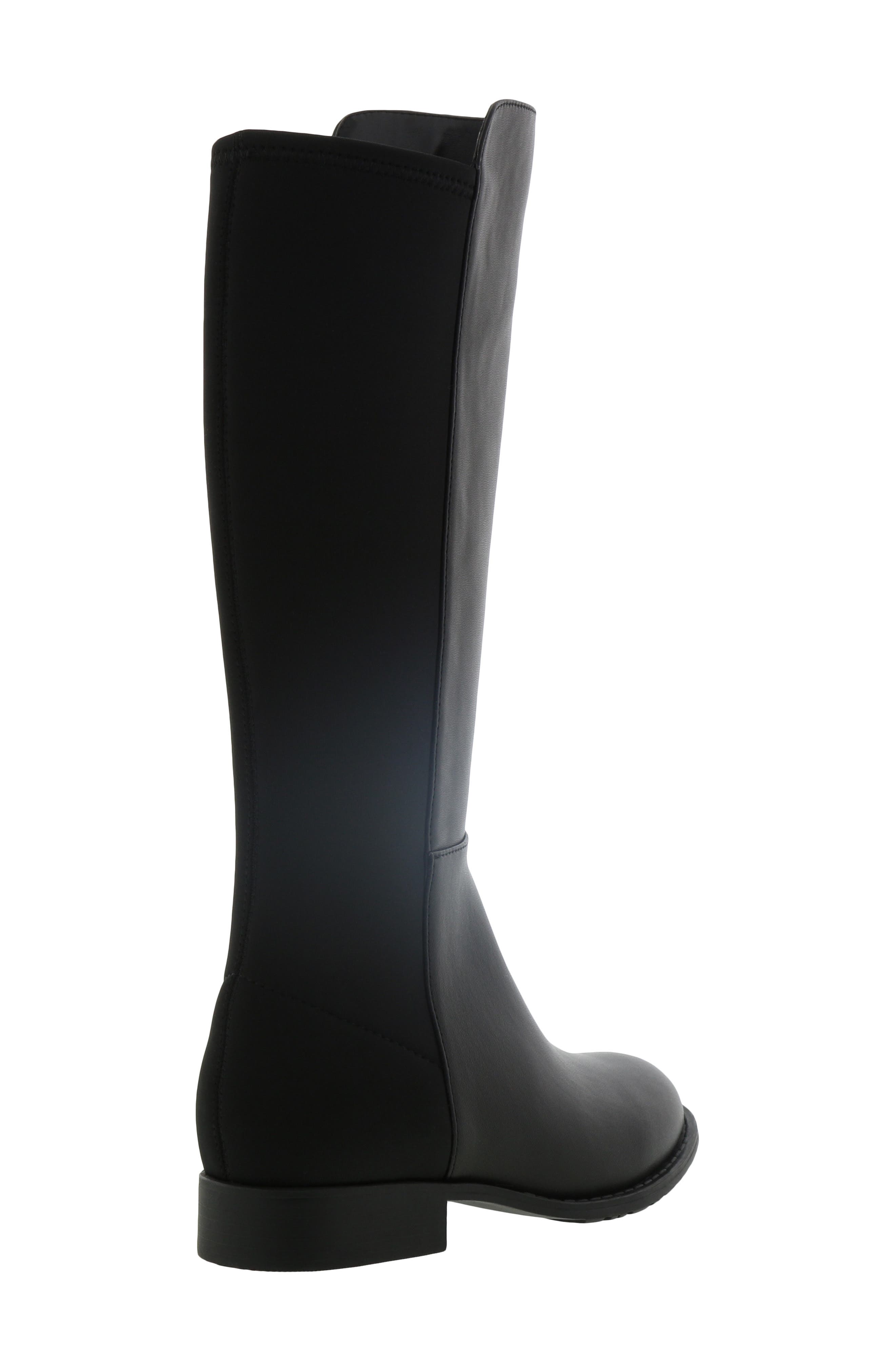 Stuart Weitzman 5050 Tall Riding Boot, Alternate, color, 