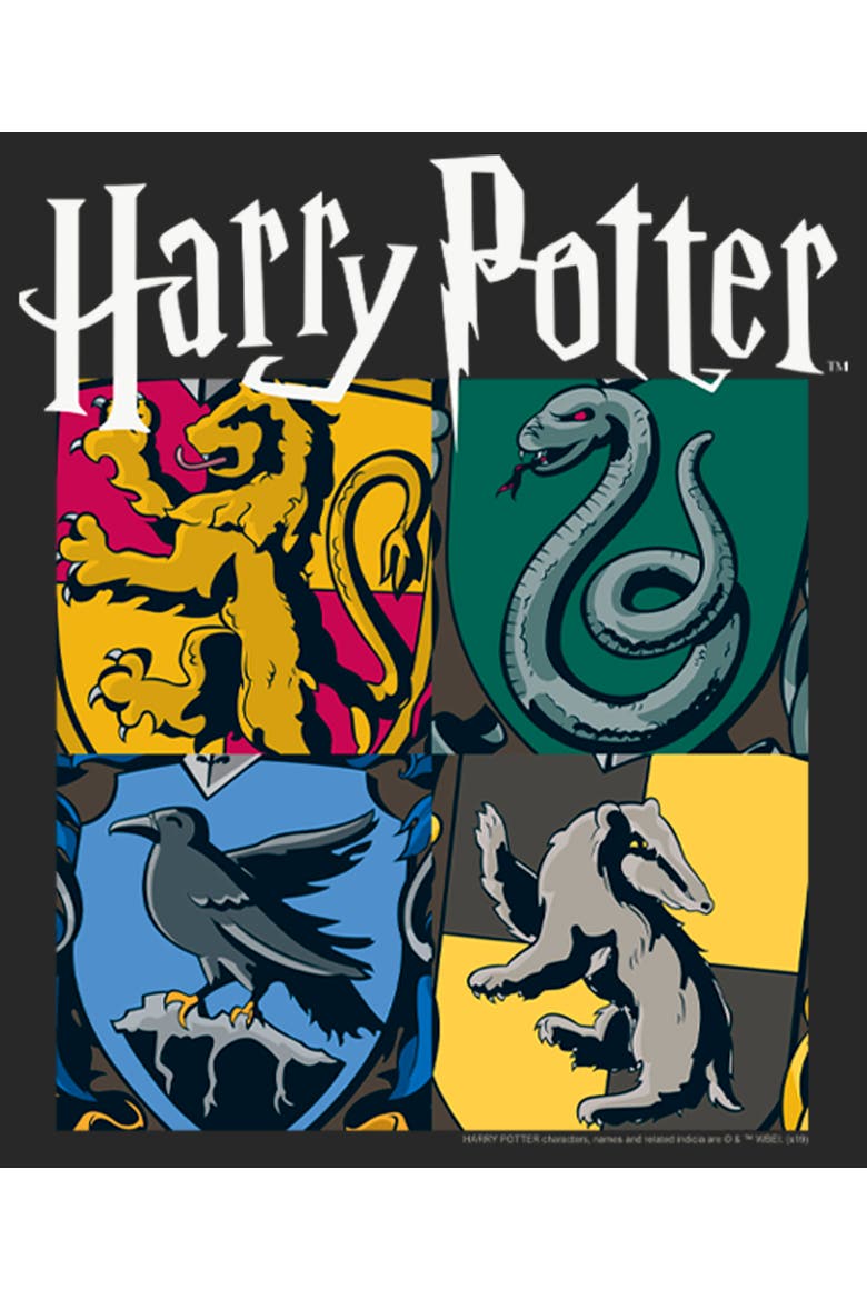 Women's Harry Potter Hogwarts Houses Vintage Collage Graphic Tee, Alternate, color, Black