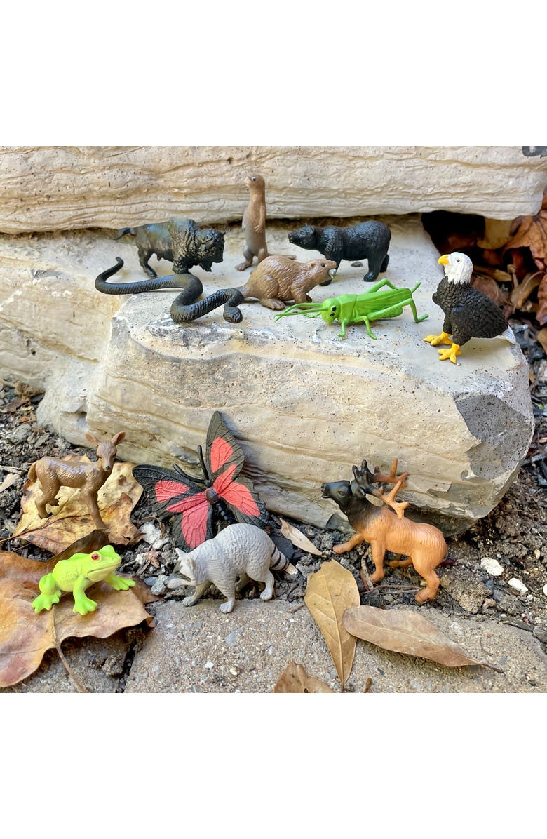 Safari Ltd. In The Woods Toy, Alternate, color, NO COLOR