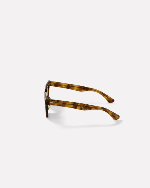 Epokhe Stereo Sunglasses In Brown