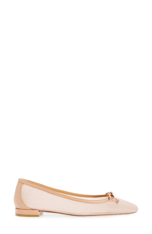 Stuart Weitzman Arabella Ballet Flat In Ginger